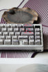[In Stock] Peach Blossom OEM Profile Dye Sublimation PBT Shine Through Keycaps
