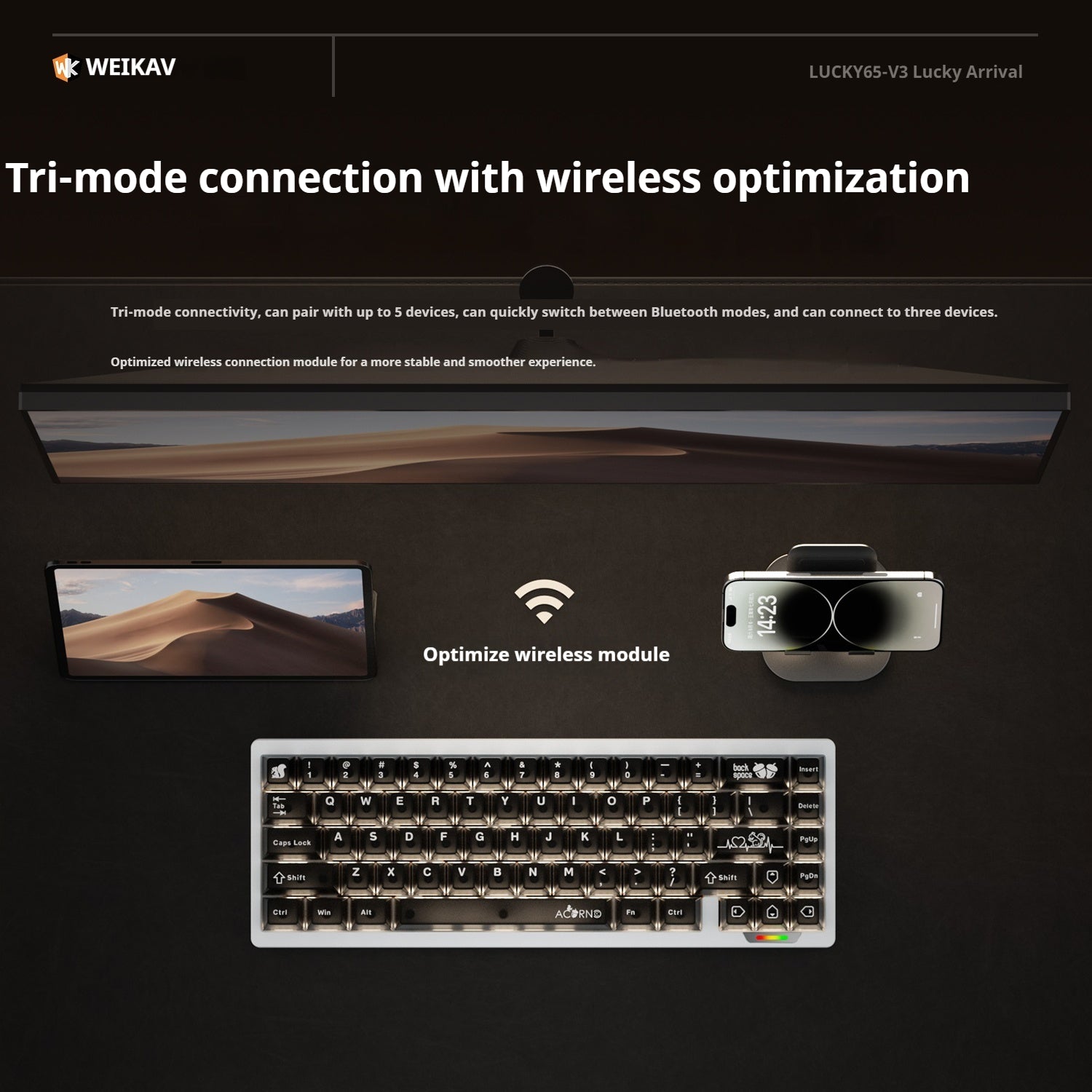 [In Stock] Lucky65 V3 65% Mechanical Keyboard kit