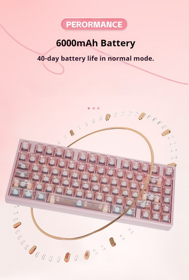 [In Stock] RO75 pro 75% Pre-Built Aluminum Mechanical Keyboard