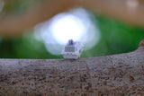 ZI YUAN JWK LINEAR SWITCHES (FREE SHIPPING TO SOME COUNTRIES)