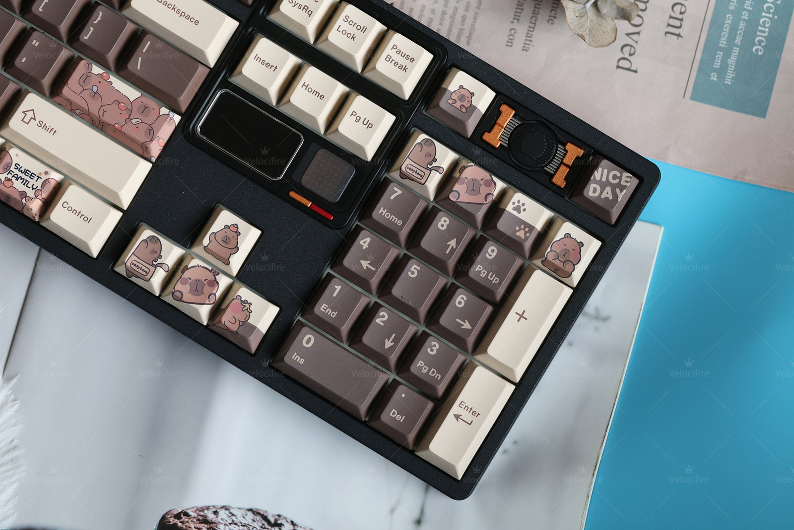 [In Stock] Capybara Cherry Profile Dye Sublimation PBT Keycaps