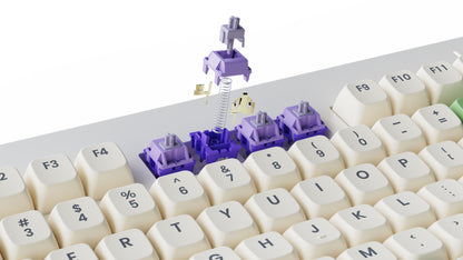 [PRE-ORDER] LIO87 TOP-LIKE MOUNT WIRELESS RGB HOT-SWAPPABLE PRE-BUILD MECHANICAL KEYBOARD