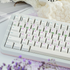 [In Stock] Wandering Planet Dye Subliamtion PBT Cherry Profile Keycaps