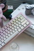 [In Stock] DT60 60% Mechanical Keyboard (Adapt to Wooting)