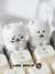 [In Stock] Nagano Joke Bear Resin Artisan Keycap