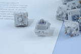 ZI YUAN JWK LINEAR SWITCHES (FREE SHIPPING TO SOME COUNTRIES)