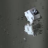 ZI YUAN JWK LINEAR SWITCHES (FREE SHIPPING TO SOME COUNTRIES)