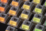 ZI YUAN JWK LINEAR SWITCHES (FREE SHIPPING TO SOME COUNTRIES)