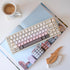 [Out of Stock] Lucky65 65% Mechanical Keyboard